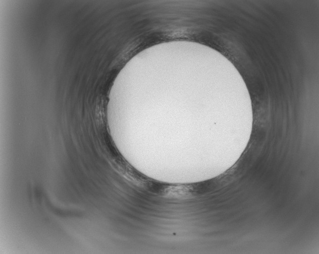 X0000079580179200612301416