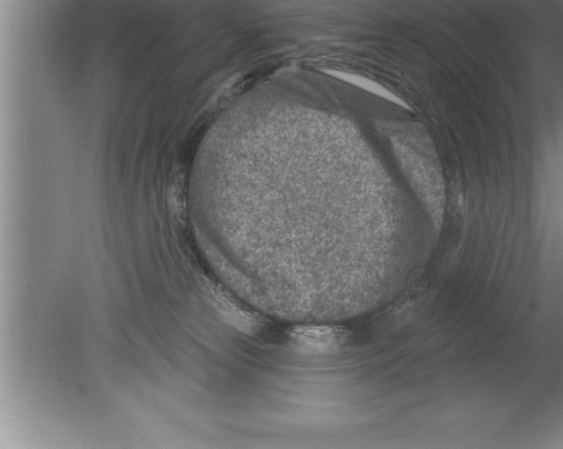 X0000079580181200612301416