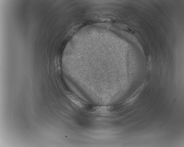 X0000079580182200612301416