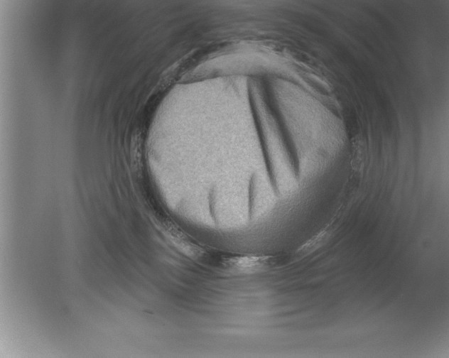 X0000079580184200612301416