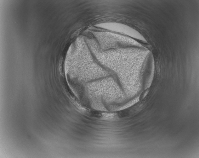 X0000079580185200612301416