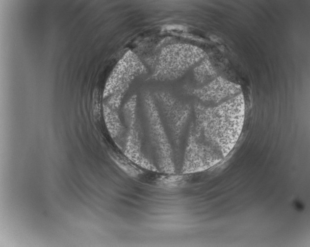 X0000079580186200612301416