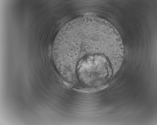 X0000079580189200612301416