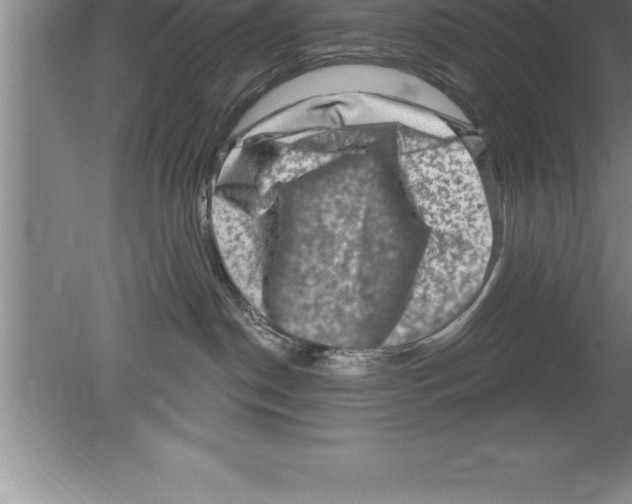 X0000079580190200612301416