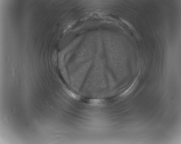 X0000079580192200612301416