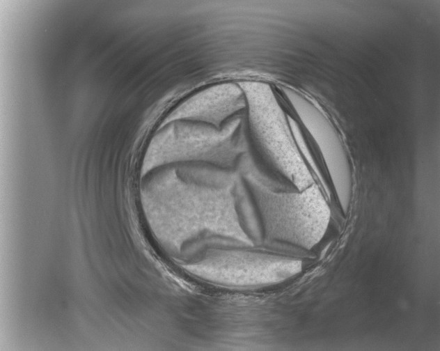 X0000079580193200612301415