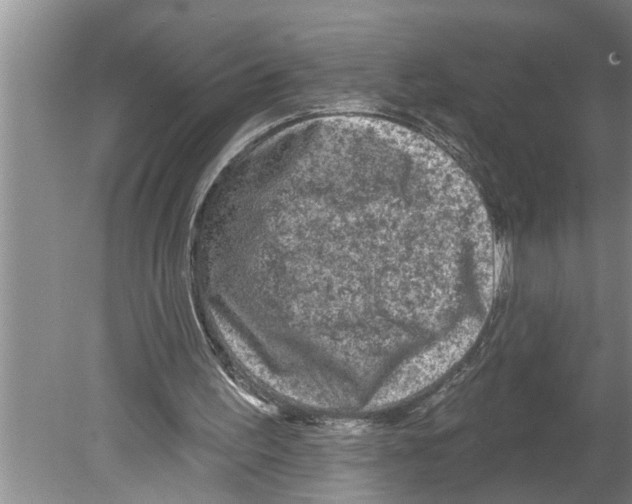 X0000079580195200612301415