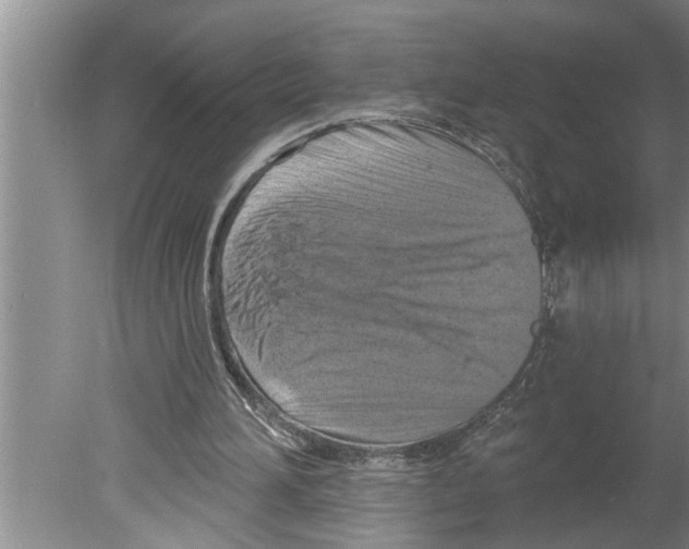 X0000079580196200612301415