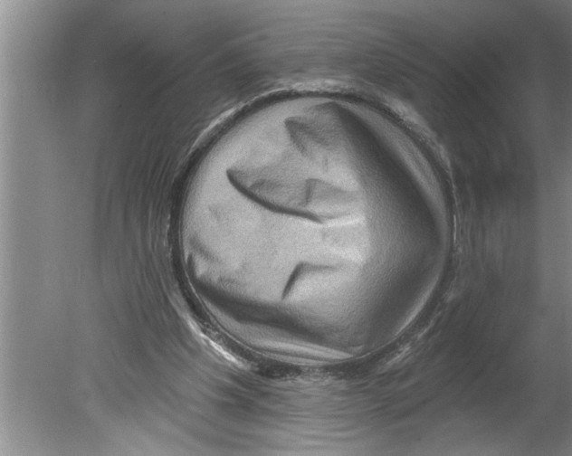 X0000079580201200612301415