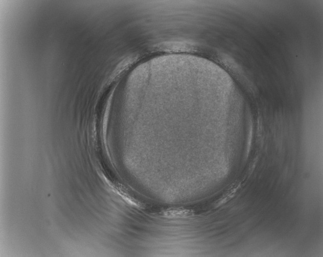 X0000079580202200612301415