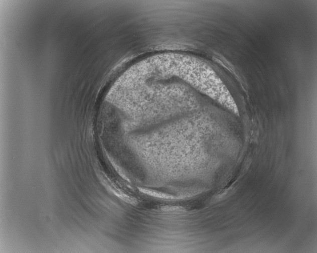 X0000079580203200612301415