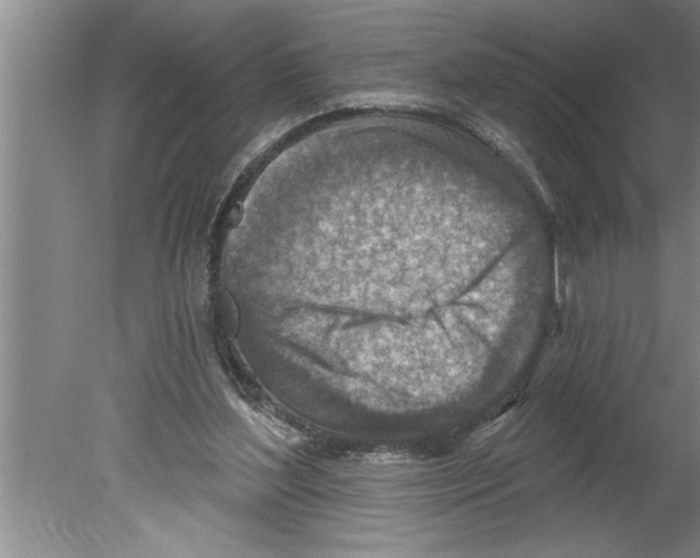 X0000079580204200612301415