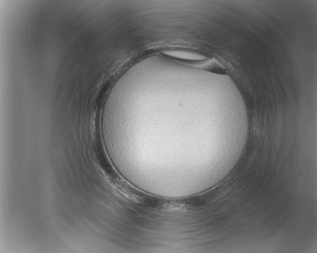 X0000079580206200612301415