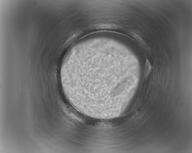 X0000079580207200612301415