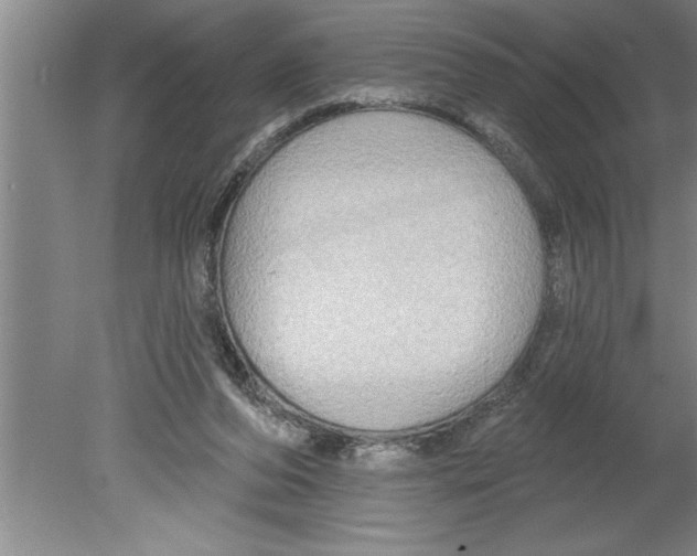 X0000079580208200612301415