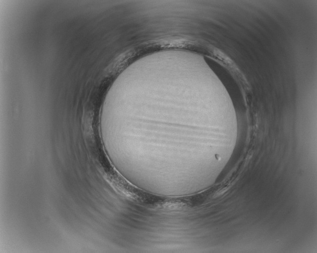 X0000079580209200612301415