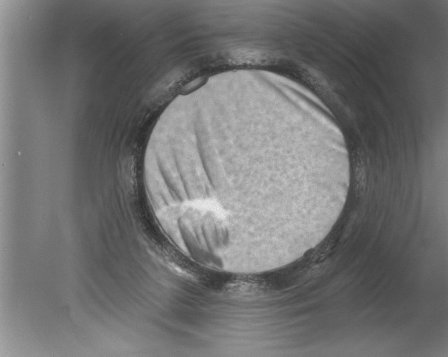 X0000079580211200612301415