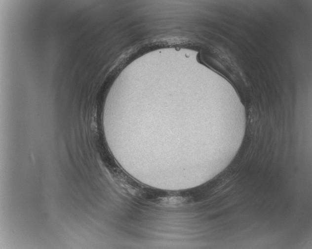 X0000079580212200612301415