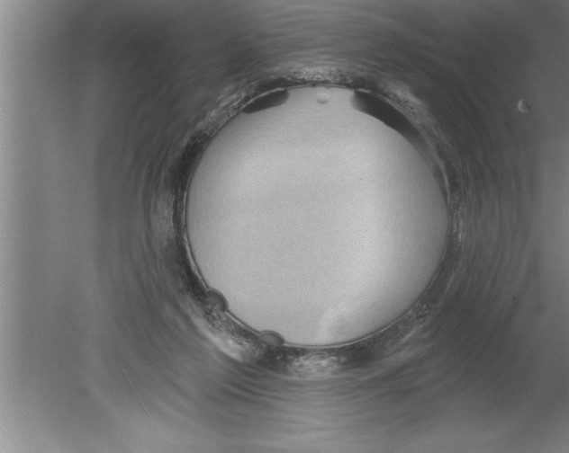 X0000079580213200612301415