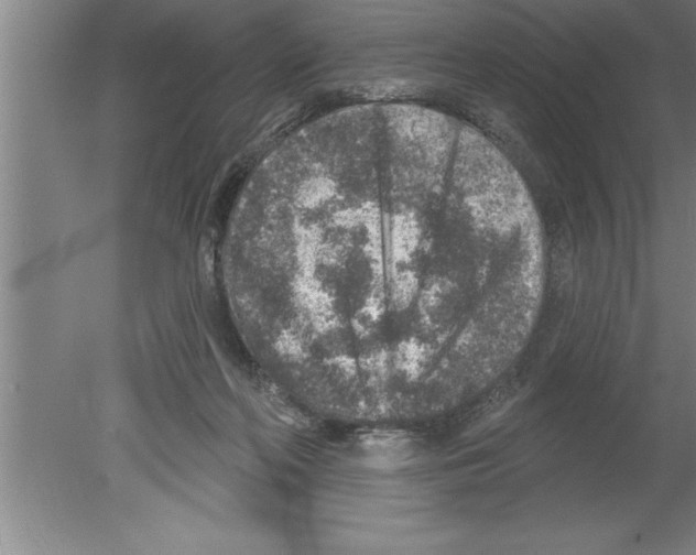 X0000079580214200612301415