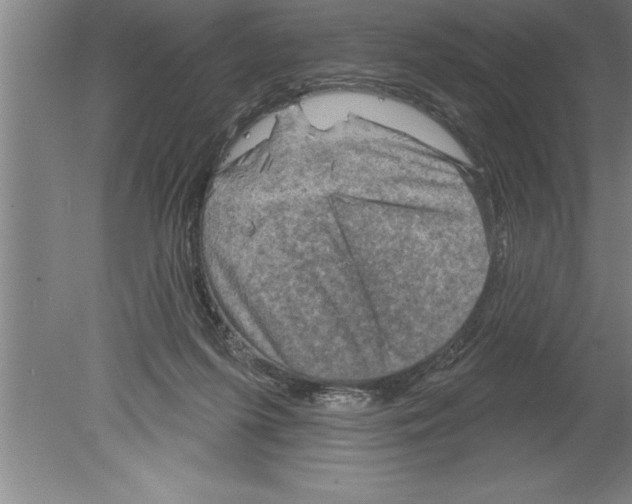 X0000079580215200612301415