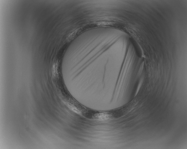 X0000079580219200612301415