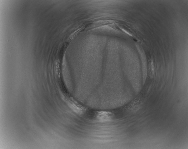 X0000079580222200612301415