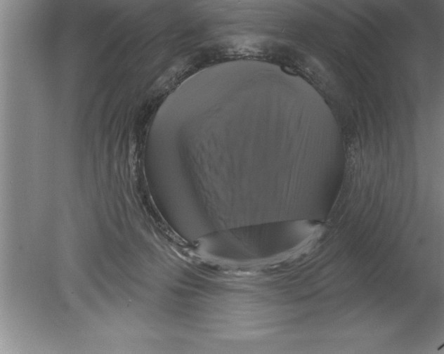 X0000079580223200612301415