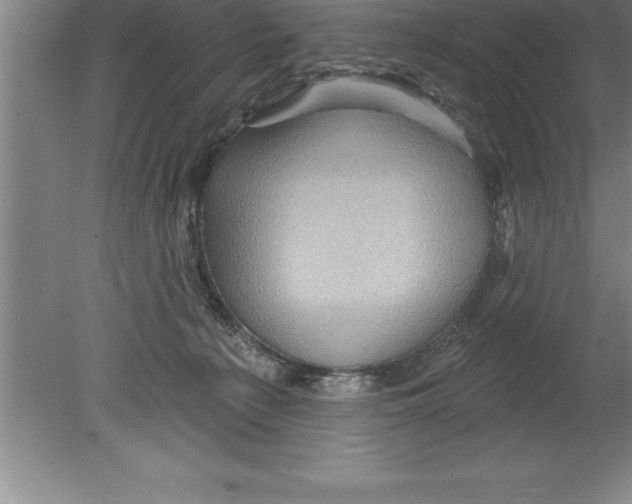 X0000079580225200612301415