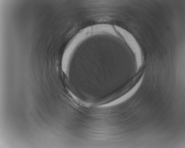 X0000079580227200612301415