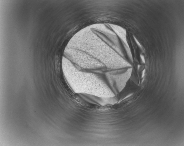 X0000079580228200612301415