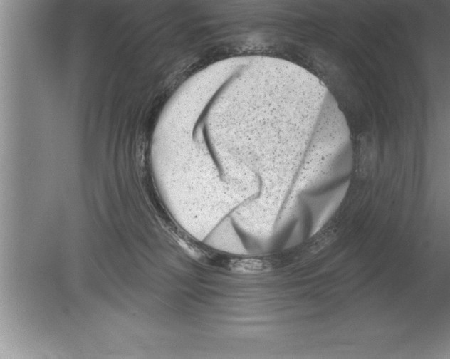 X0000079580230200612301415