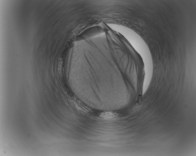 X0000079580231200612301415