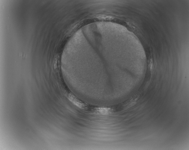 X0000079580233200612301415