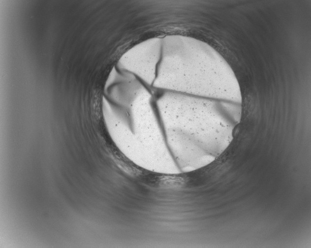 X0000079580234200612301415