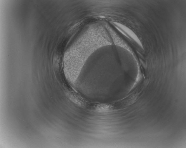 X0000079580235200612301415