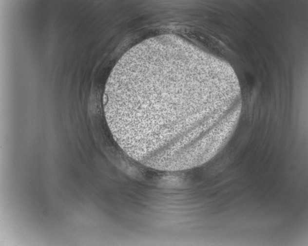 X0000079580236200612301415