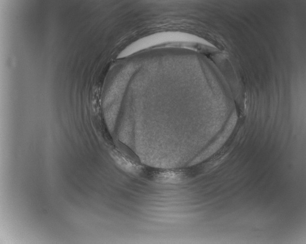 X0000079580237200612301415