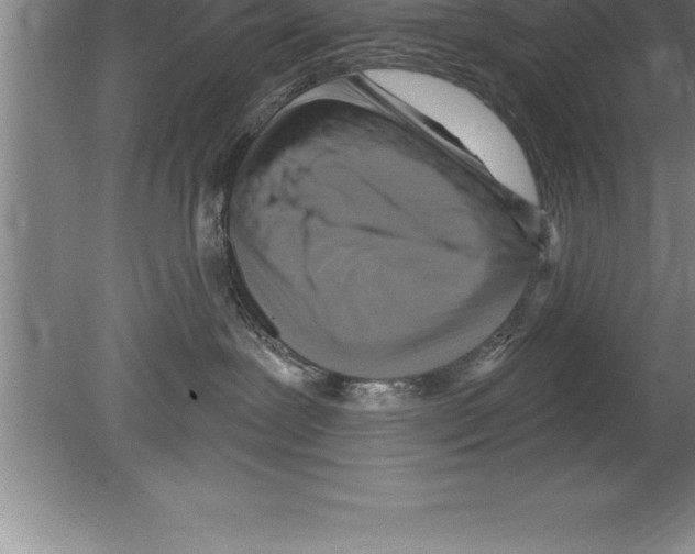 X0000079580239200612301415