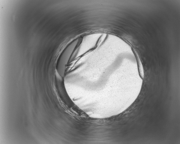 X0000079580241200612301414