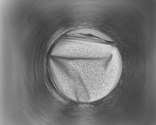 X0000079580242200612301414