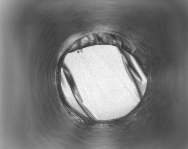 X0000079580244200612301414