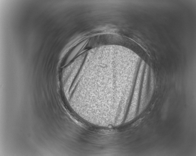 X0000079580245200612301414