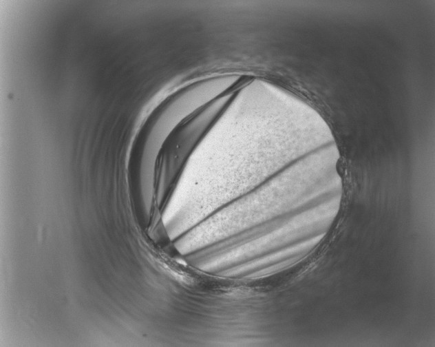 X0000079580246200612301414