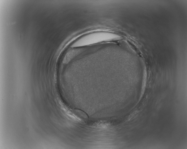 X0000079580247200612301414