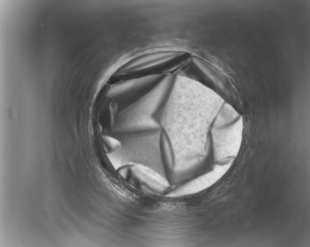 X0000079580248200612301414