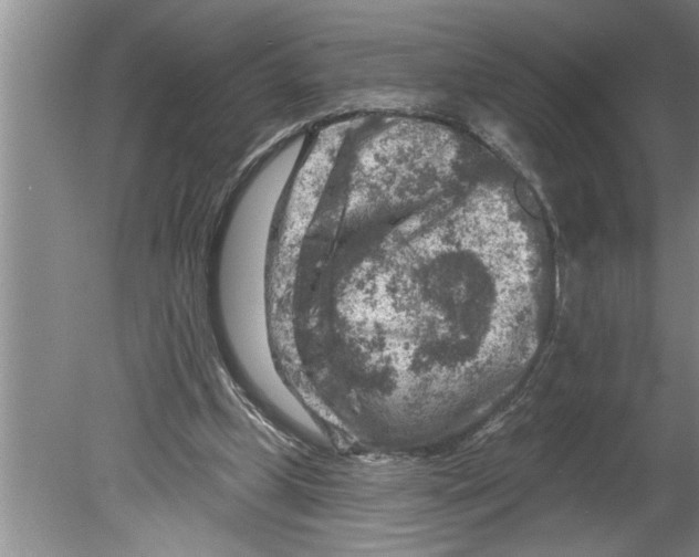 X0000079580249200612301414