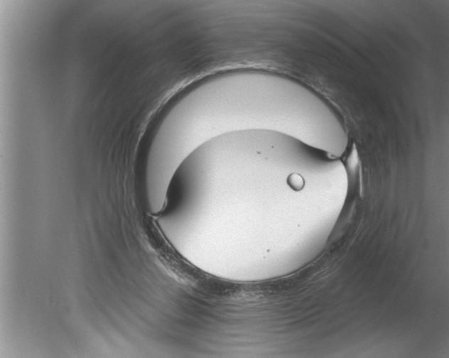 X0000079580252200612301414