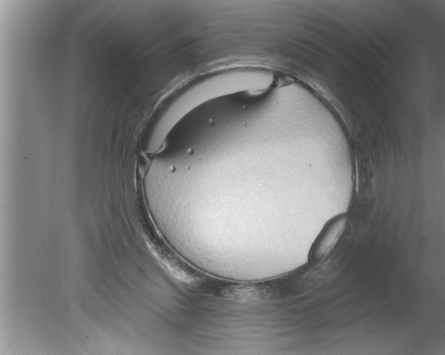 X0000079580253200612301414