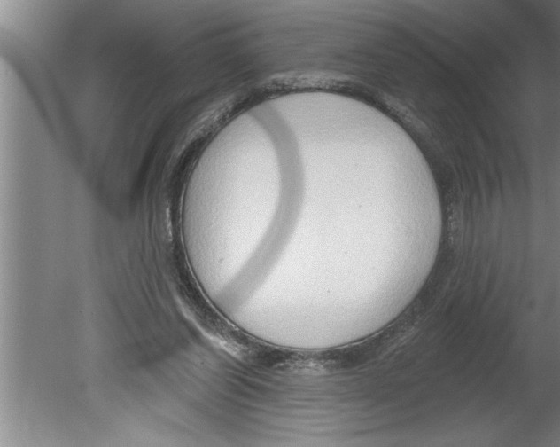 X0000079580254200612301414